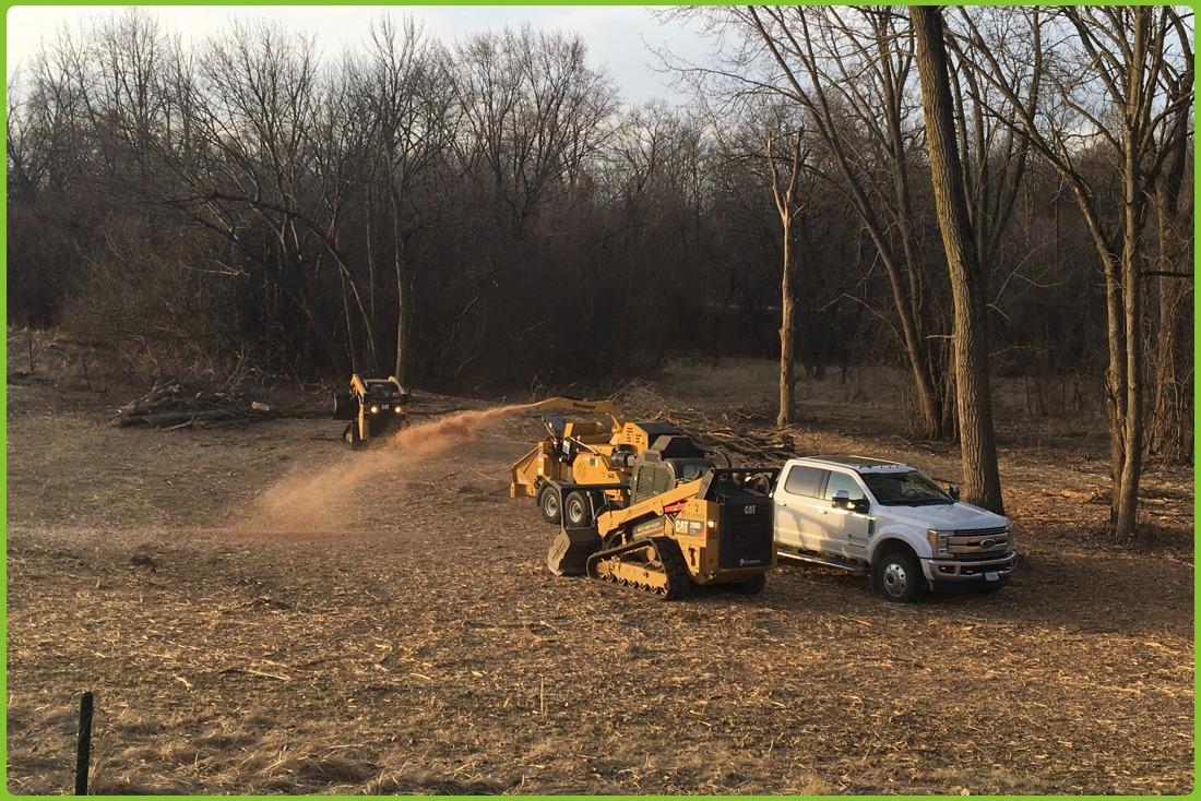 Forestry equipment clearing and processing vegetation