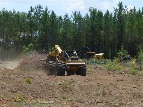 Forestry Support project