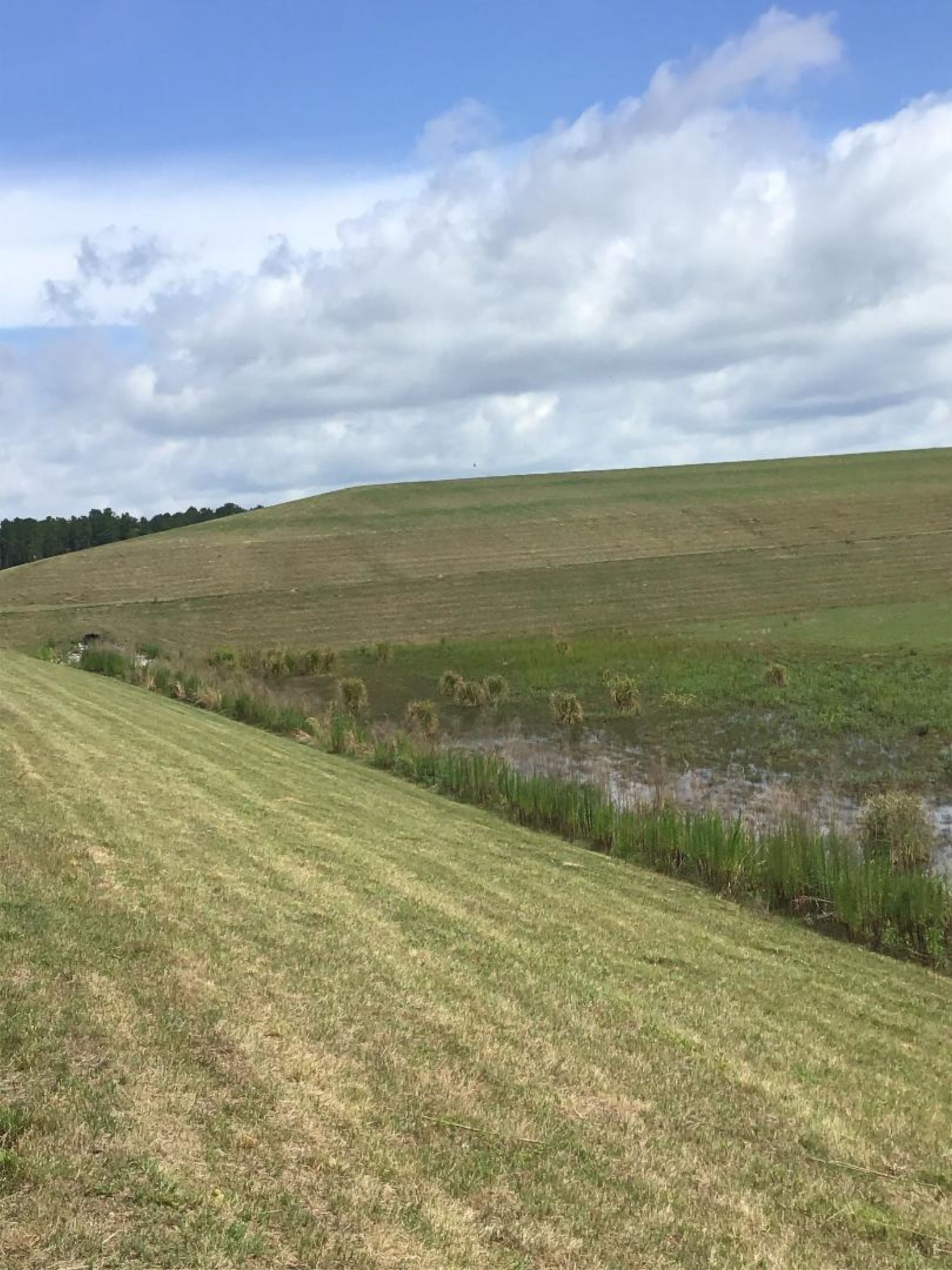 Maintained grass slopes and drainage area