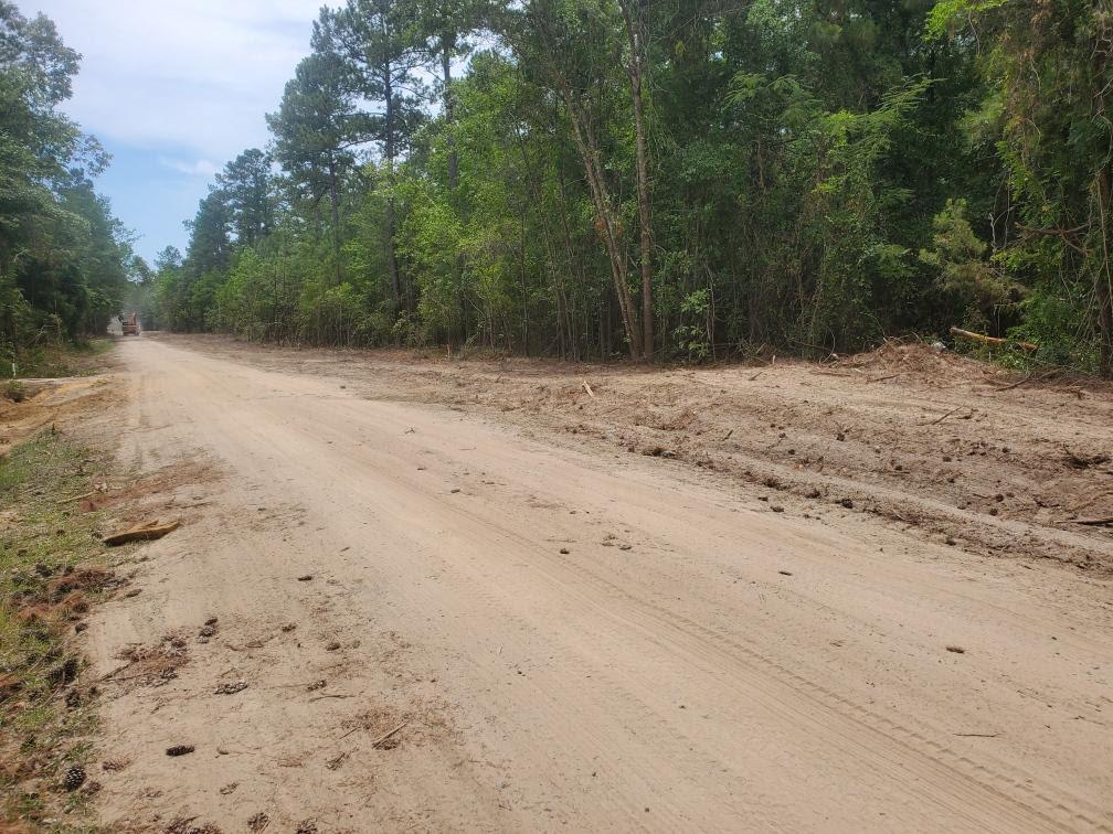 Maintained unpaved road through forest